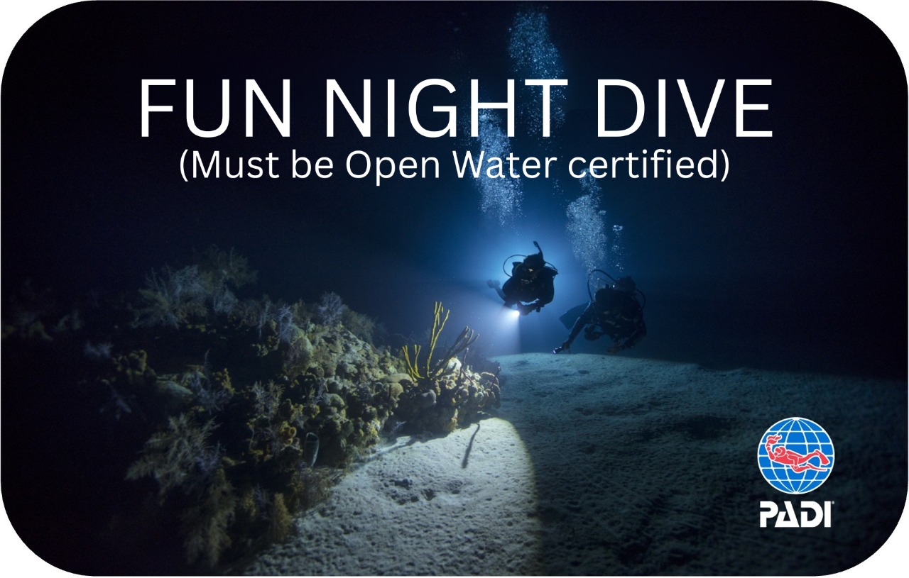 Night Dive - Fun Dive Only for OW Certified Divers