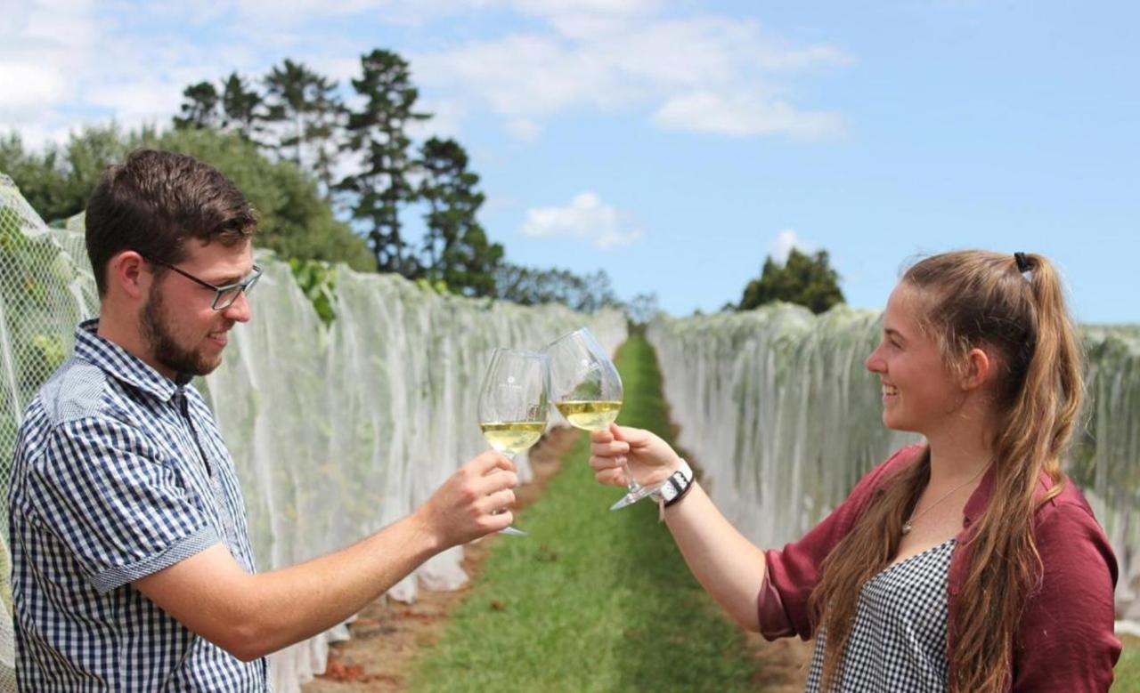 Your Kiwi Tour: Auckland’s Wine Country – A Taste Of The West | Private Tour — Auckland - Photo 4