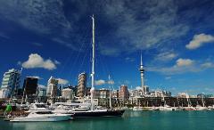 An intro to Auckland - The lay of the land | Private Tour 