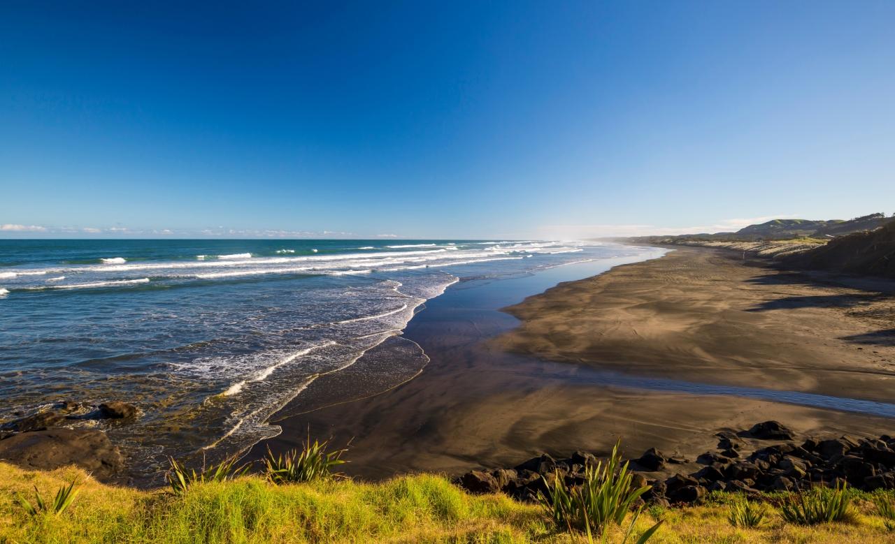 Your Kiwi Tour: Auckland’s Wine Country – A Taste Of The West | Private Tour — Auckland - Photo 5