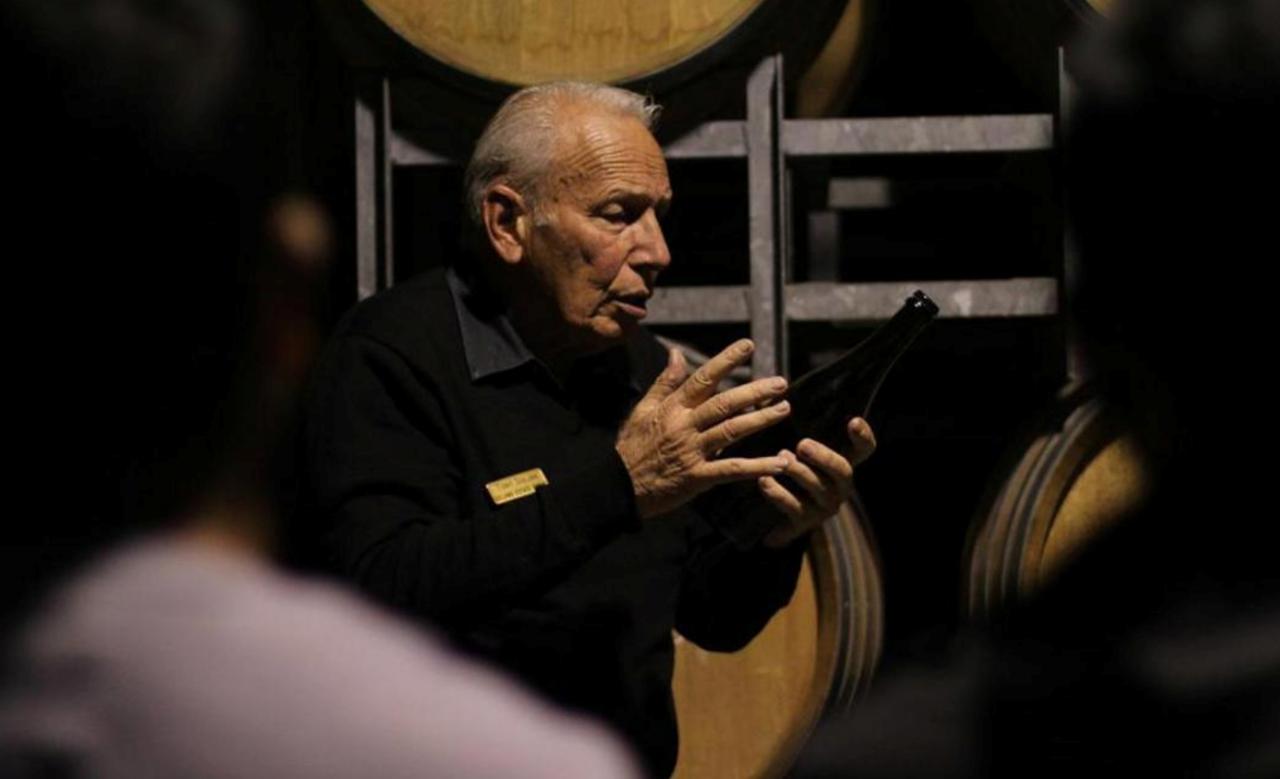 Your Kiwi Tour: Auckland’s Wine Country – A Taste Of The West | Private Tour — Auckland - Photo 2
