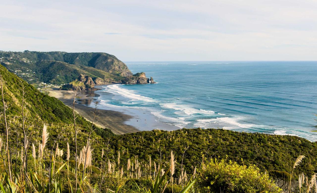 Auckland’s West Coast – On the Edge of Wilderness | Private Tour (2-4 Guests)