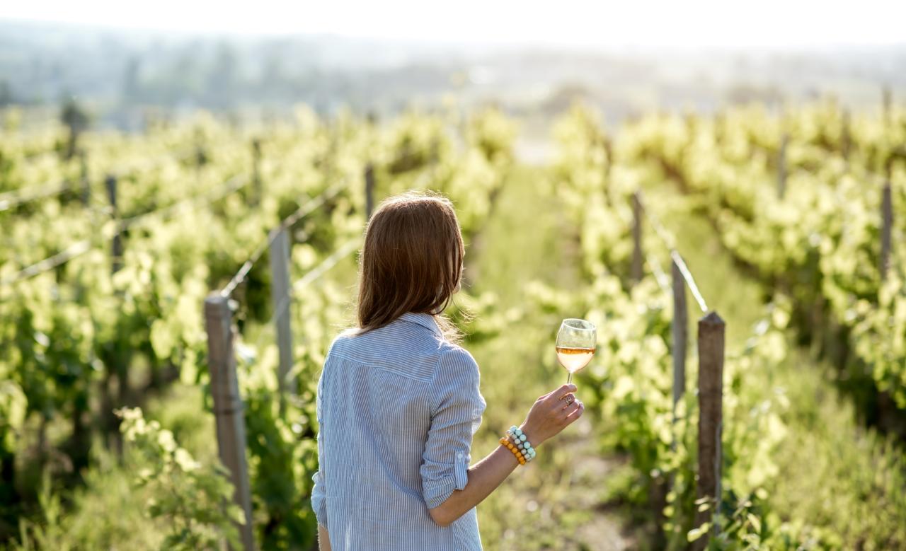 Your Kiwi Tour: Auckland’s Wine Country – A Taste Of The West | Private Tour — Auckland - Photo 1