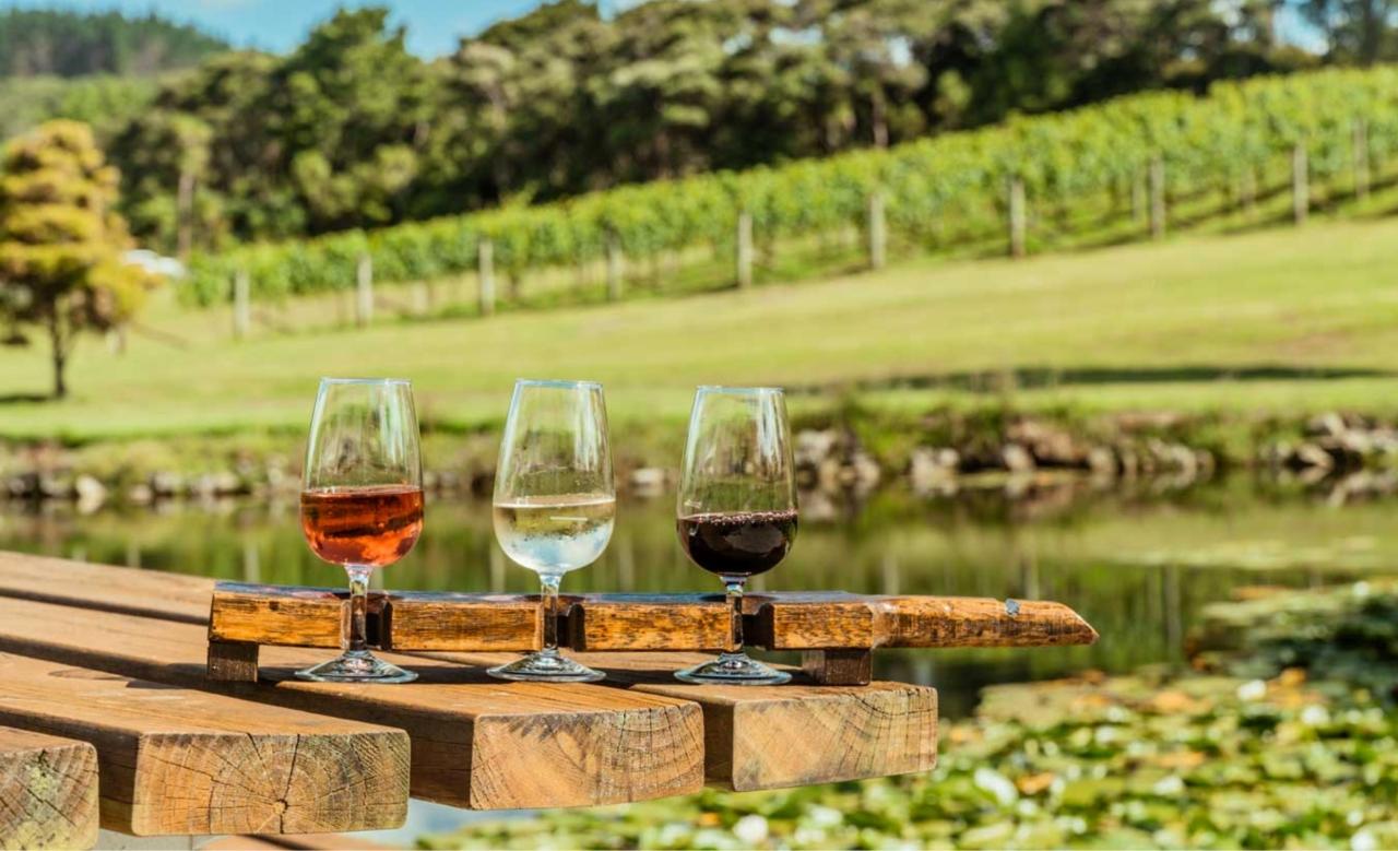 Your Kiwi Tour: Auckland’s Wine Country – A Taste Of The West | Private Tour — Auckland