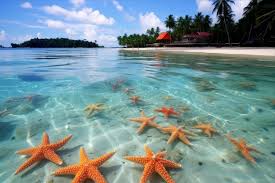 Starfish Beach, Bocas del Drago, Bird Island Excursion (Package 4)
