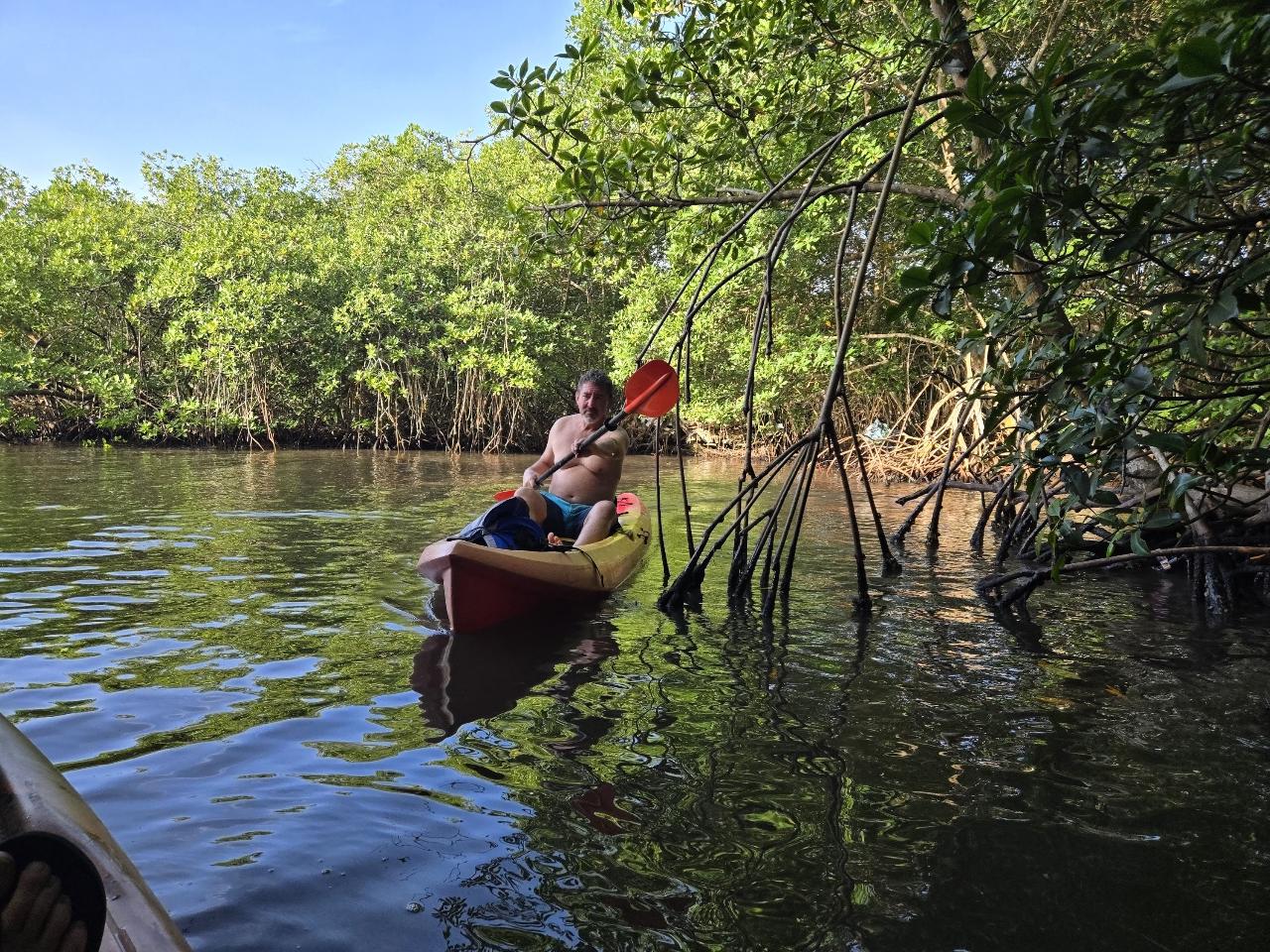 Single Kayak Rental