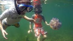 Snorkeling, Sloths, and Basti Excursion (Package 7)