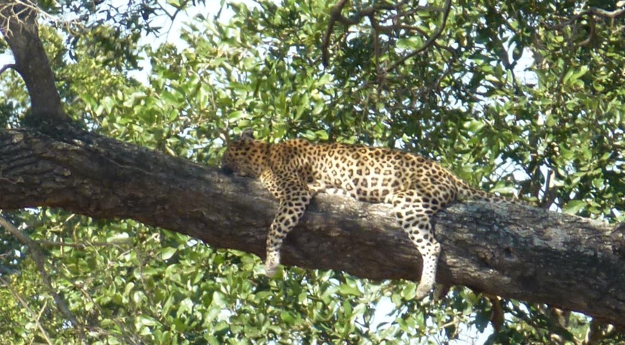 Tertia’s Home Tour of South Africa and Namibia August 23-September 14, 2026 (23 days)