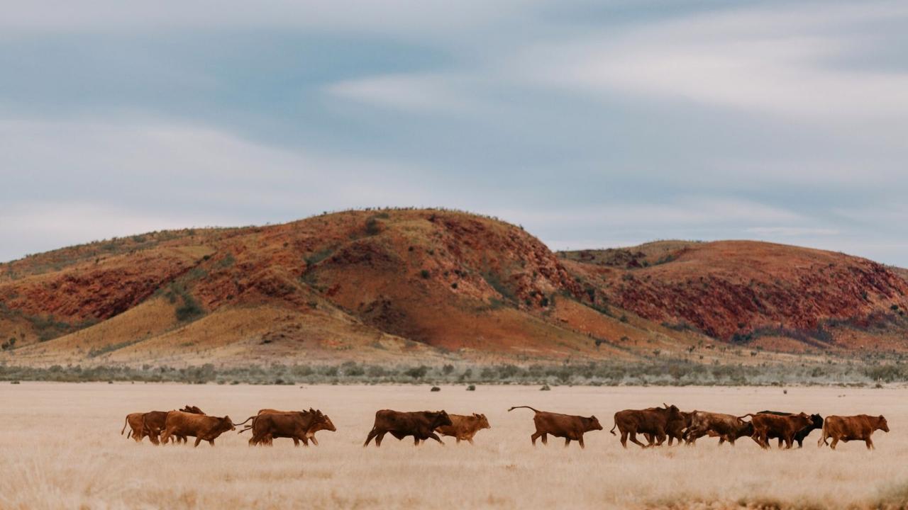 Pilbara WA Outback Food Discovery Tour - 5 days