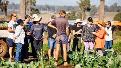 Southern Forests Autumn Food Discovery Tour - 3 days