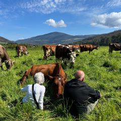 Southern Tasmania Food Discovery Tour - 5 days