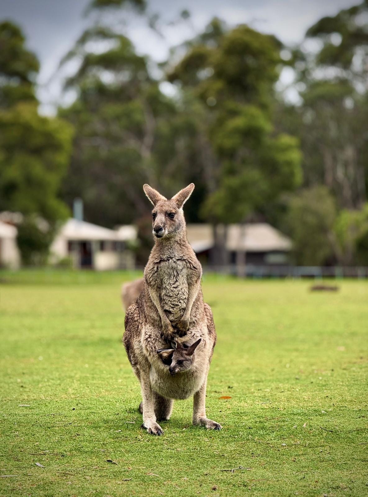 Big Bus Private Grampians National Park Day Tours (up to 21 pax)