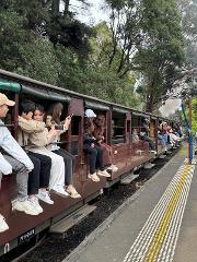 GYG Small Bus Private Puffing Billy Steam Train Ride (up to 13 pax) 