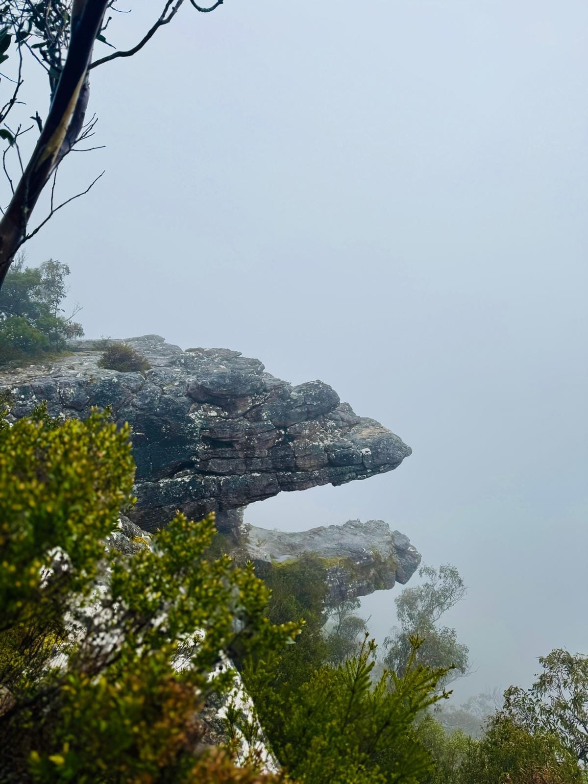 Big Bus Private Grampians National Park Day Tours (up to 21 pax)