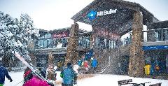 GYG Big Bus Private Mount Buller Snow & Ski Tour (up to 21 pax) 