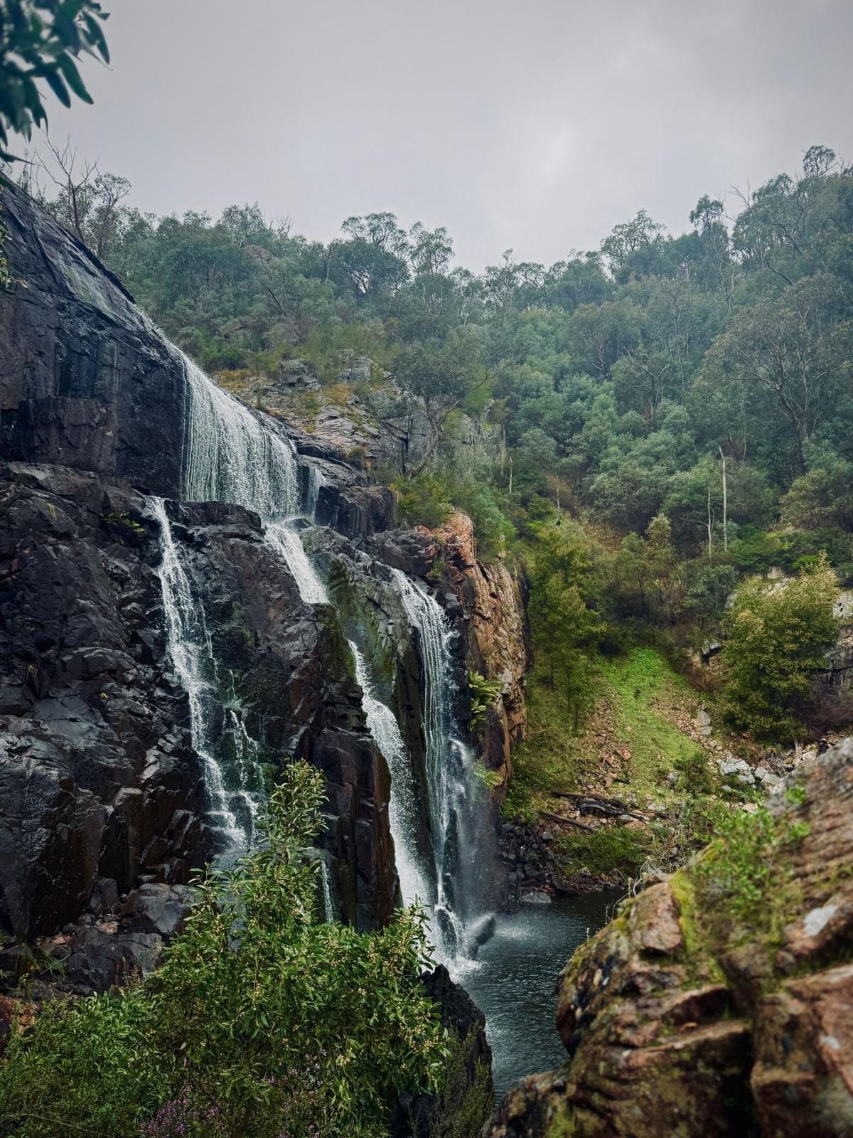Big Bus Private Grampians National Park Day Tours (up to 21 pax)