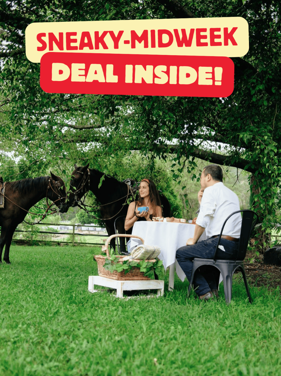 Private Scenic Farm Ride & Picnic Experience (For 2 adults)
