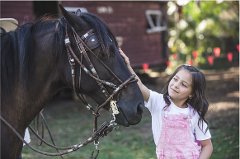 Equestrian Me: Introductory Lesson