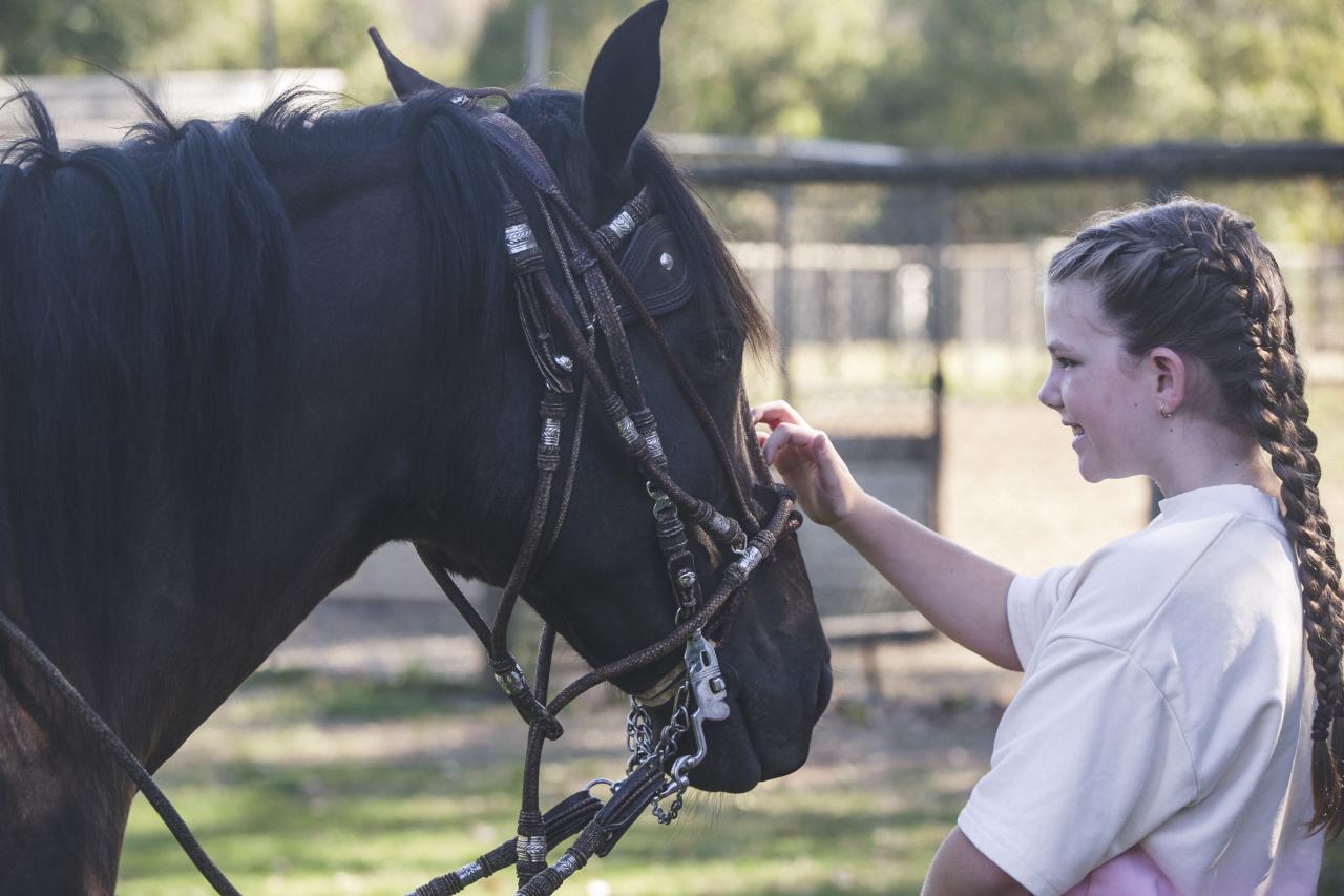 Horses Hire 1-hour Add-On for Birthday Parties