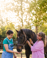 Alpaca Therapy Session — Shared