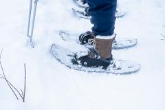 Snowshoe Rental & self-guided experience in Abisko