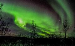 Aurora Night & Swedish Glögg - Snowshoe Experience (Private tour)