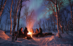Aurora Night & Swedish Glögg - Snowshoe Experience