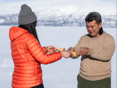 Arctic Stories of Abisko