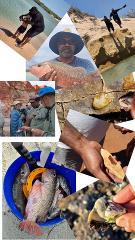 Customised Tours