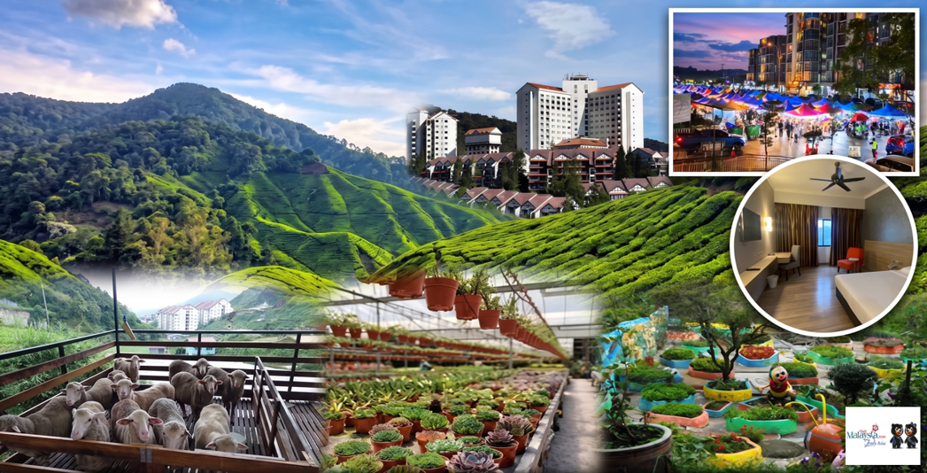 4 Nights 3 Days Cameron Highlands Free & Easy
