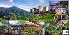 4 Nights 3 Days Cameron Highlands Free & Easy