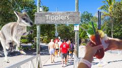 2hr Valentines Day Breakfast Safari w/ Extended Island Stop + FREE photos