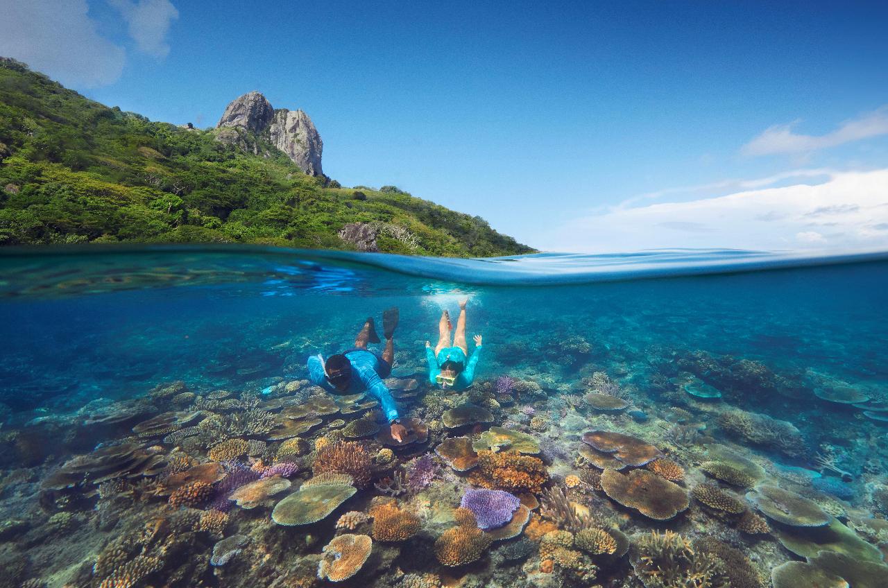 Marine Conservation Experience Day Cruise