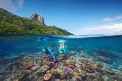 Marine Conservation Experience Day Cruise