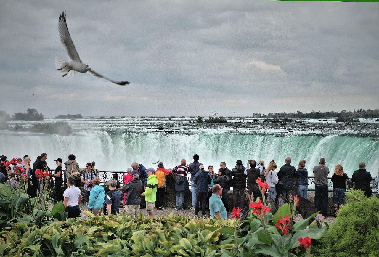 Milton To Niagara Falls Large Group Custom Bus Tour (upto 56 Passengers)