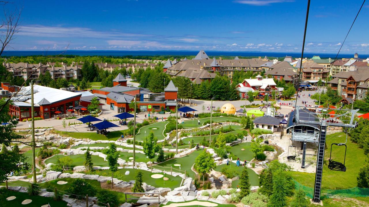 Blue Mountain Private Tour (1-6 People)