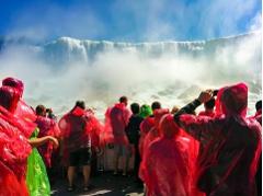 Hamilton To Niagara Falls Half Day Private Tour Upto 4 People