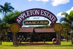 Appleton Estates Rum Factory Tour, St. Elizabeth
