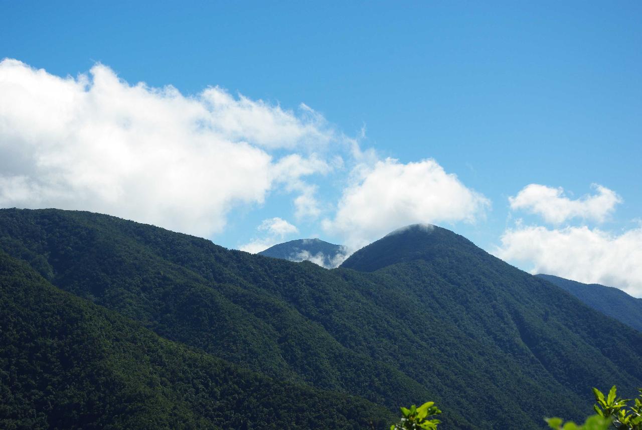 Blue Mountains, Kingston, Jamaica
