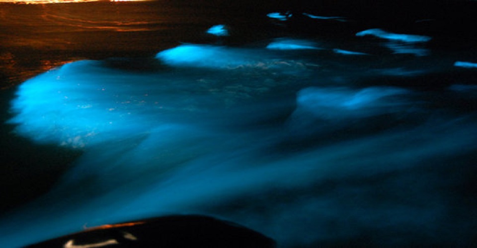 Luminous Lagoon Glistening Waters, Falmouth