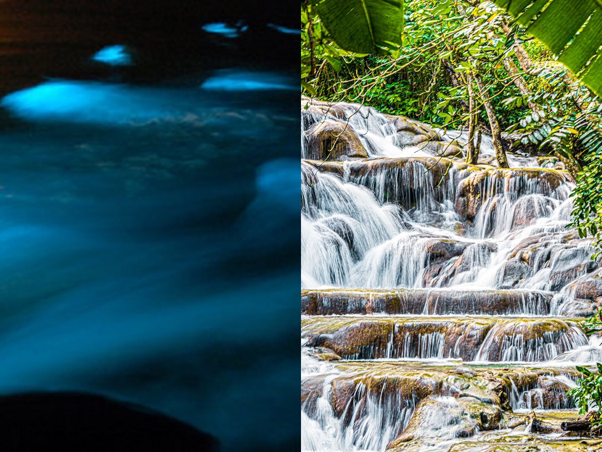 Dunn’s River Falls & Luminous Lagoon Combo Tour Package