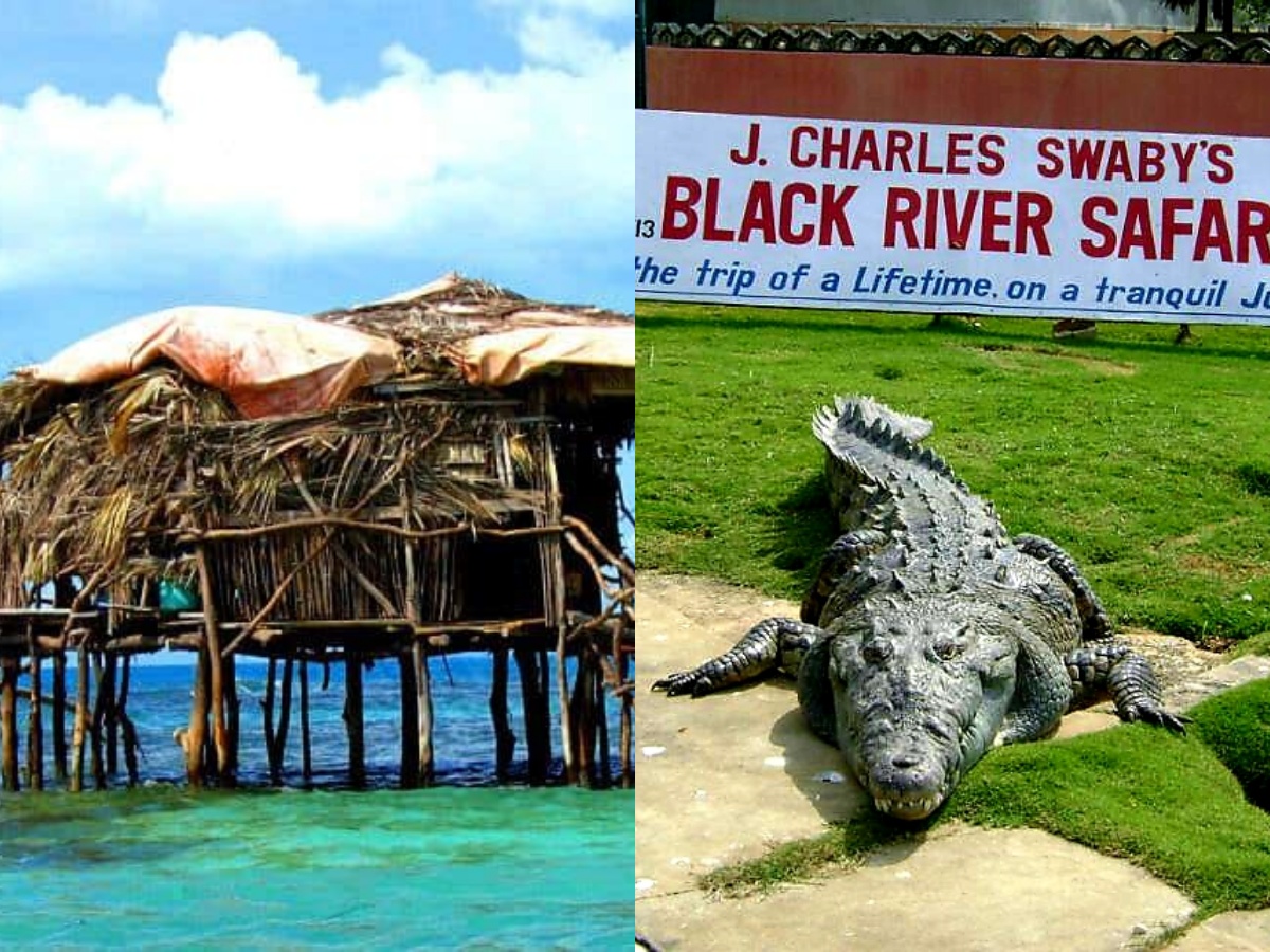 Black River Safari & Pelican Bar Combo Tour Package