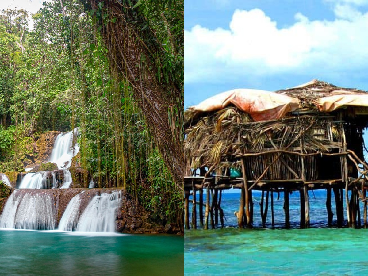 Pelican Bar & Ys Falls Combo Tour Package