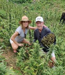 Weed Farm Tour Negril