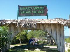 Swamp Safari Tour Falmouth