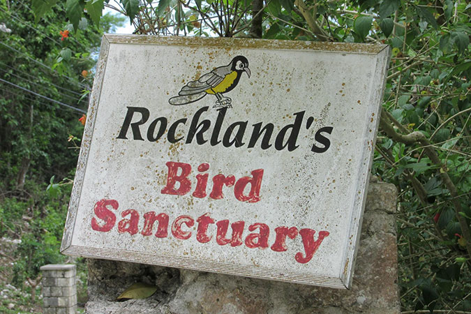 Rockland Bird Sanctuary