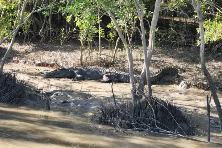 Full Day Fishing Shared Charter