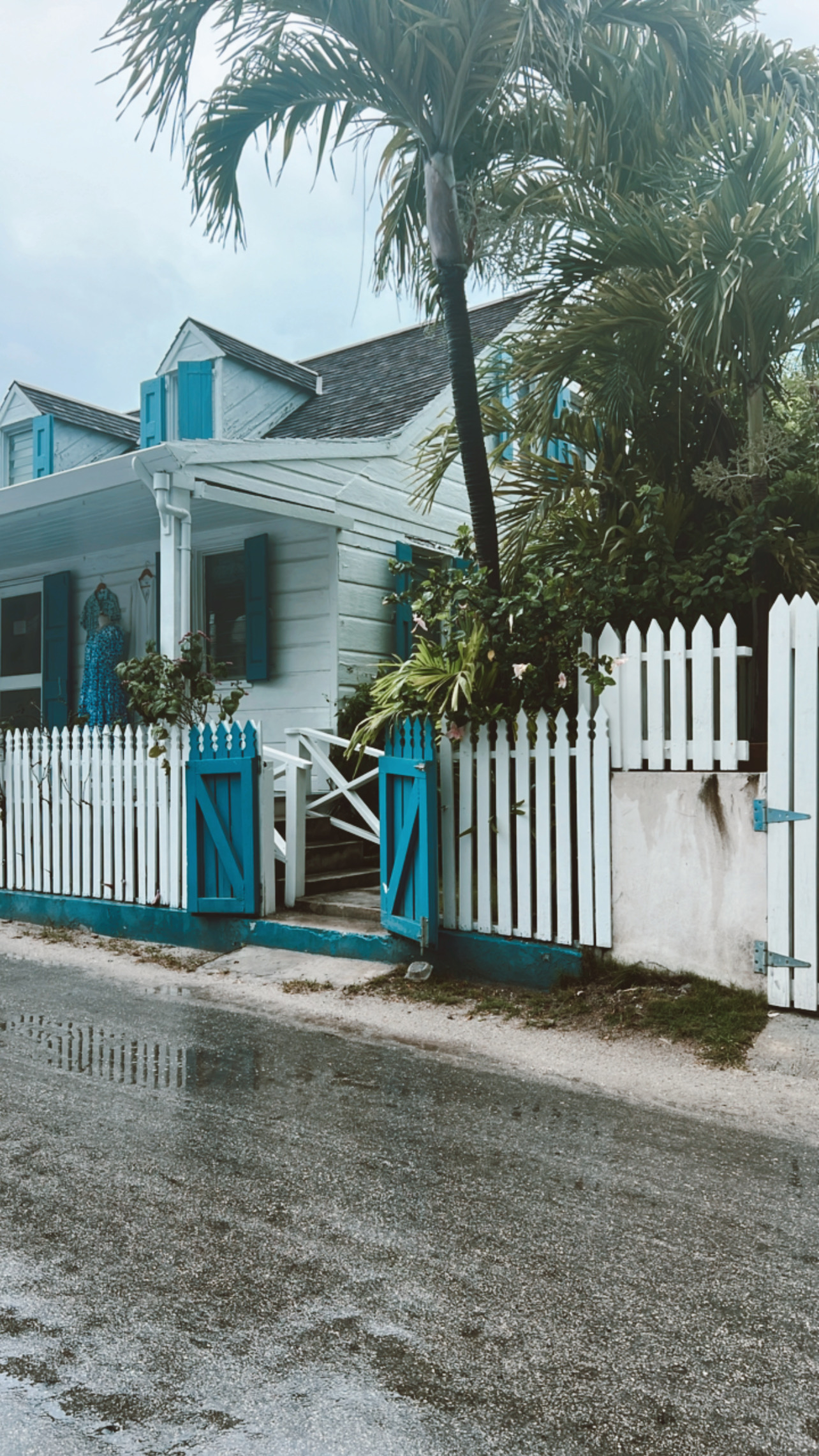 Image 9