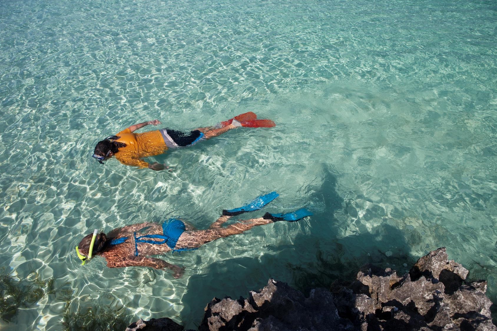 NATURE LOVER'S ESCAPE: BEACH SNORKELING & SWIMMING PIGS