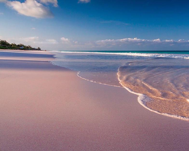 HARBOUR ISLAND: PINK SANDS & SWIMMING PIGS | GROUP 